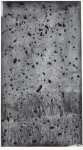 海老塚耕一／EBIZUKA　koichi : 水の森Ⅰ 90.5×50 銅版・ドライポイント