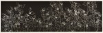 横瀬信子／YOKOSE nobuko : 風の記憶－2015－1 36.5×120 銅版・メゾチント