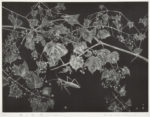 横瀬　信子／YOKOSE nobuko：風の記憶－2022－1 66.5×85.5 銅版