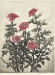 白崎　悦子／SHIRASAKI etsuko 大地の詩～冬に咲く 83×67 銅版