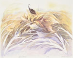 飯野 紀子/IINO noriko 猛暑の息吹 60×76 平版
